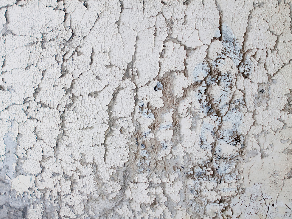 Flaking Of A Wall Surface - Asian Paints