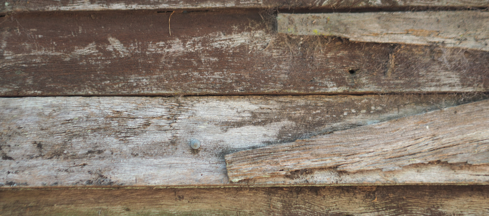 Dewaxed shellac for wood - Asian Paints