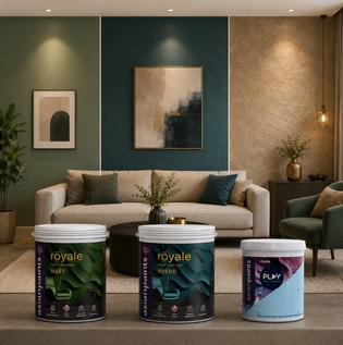 Best Paint Finishes for Living Room Walls