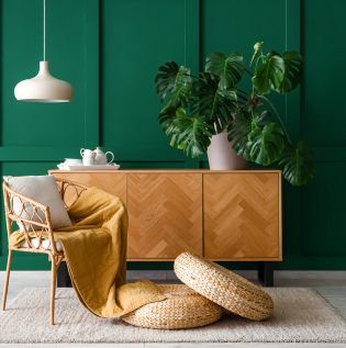 Dark Green Coloured Living Room - Asian Paints