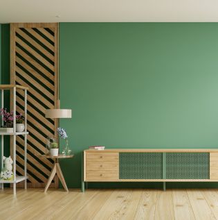 Fern Green Coloured Living Room - Asian Paints