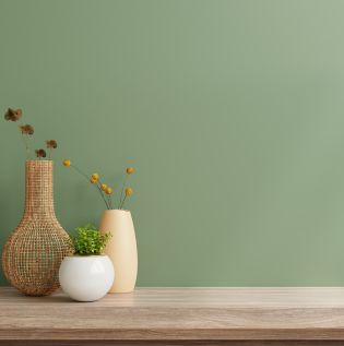 Mint Green Coloured Living Room - Asian Paints