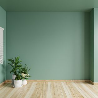 Sage Green Coloured Living Room - Asian Paints