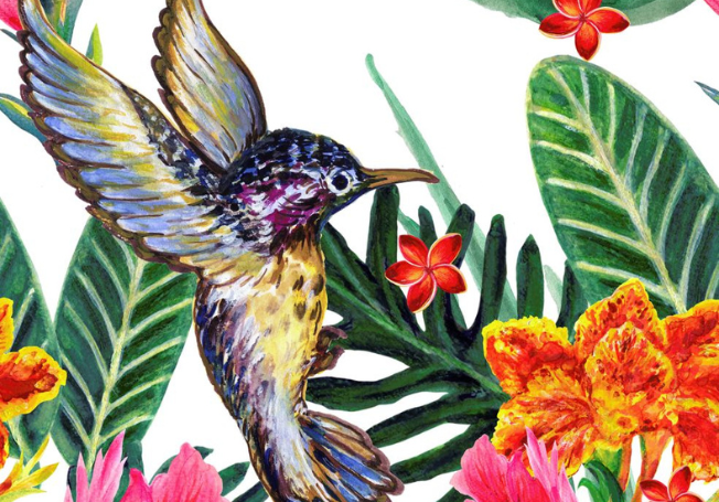 Humming Bird Wallpaper Design - Asian Paints