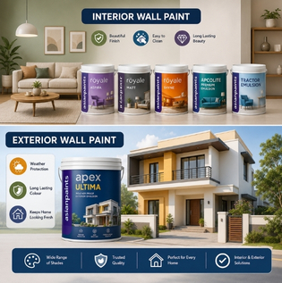 Best Paint Options for Interior and Exterior Home Walls