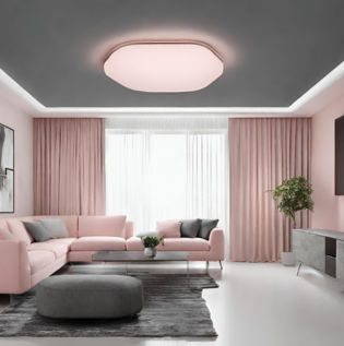 Pink and Grey False Ceiling - Asian Paints