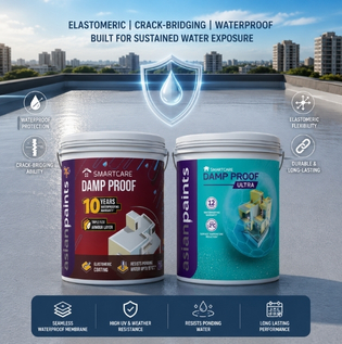 Roof Waterproof Coating Options
