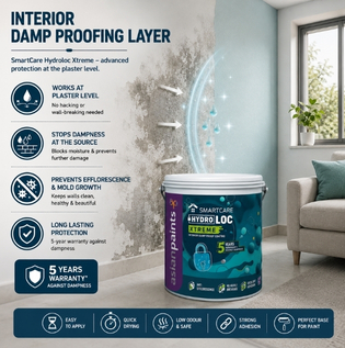 AP Blog images - 14