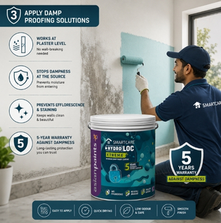 Interior Damp Proofing Treatment for Damp Walls and Efflorescence