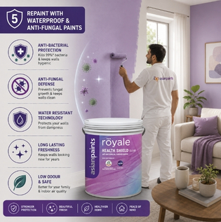 Waterproof and Anti Fungal Paint for Long Lasting Wall Protection