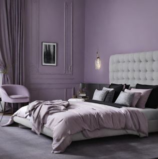 Lavender Black Grey Wall Colour - Asian Paints