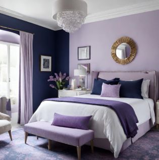 Lavender Navy Blue Wall Colour - Asian Paints