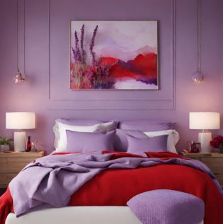 Lavender Red Wall Colour - Asian Paints