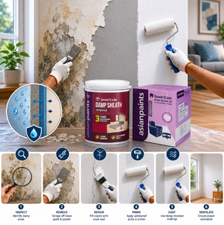 Internal Damp Wall Treatment Solutions
