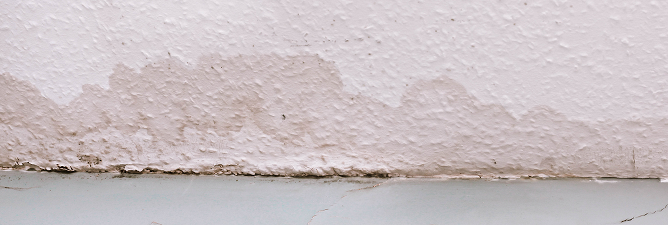 Signs of wall water damage – Asian Paints