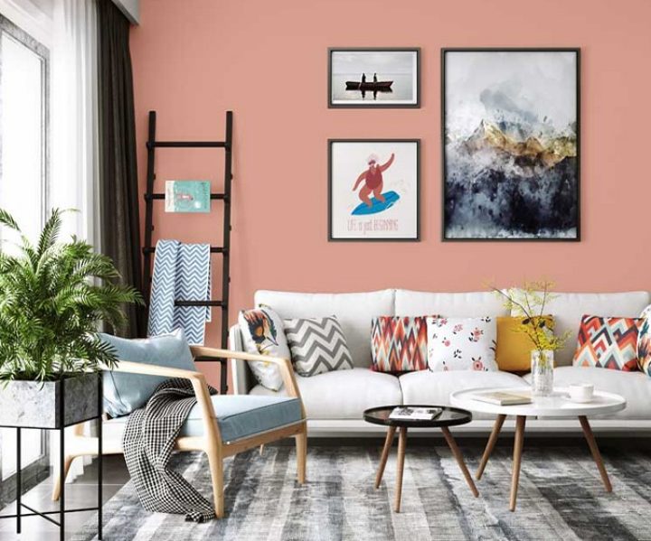 warm-neutrals-colour-shade-asian-paints-8608