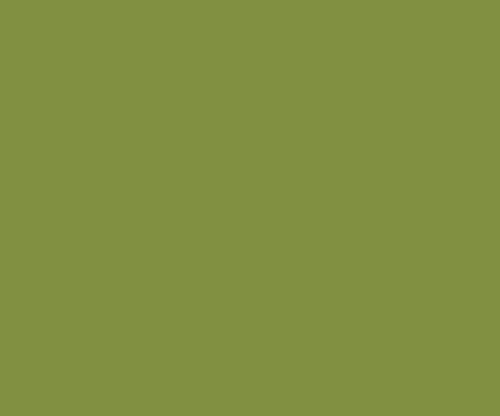 Try Fresh Olive House Paint Colour Shades For Walls Asian Paints