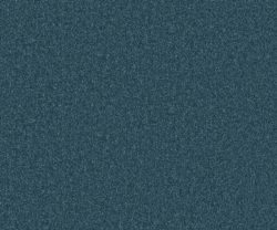 AAA2019ESS31109925