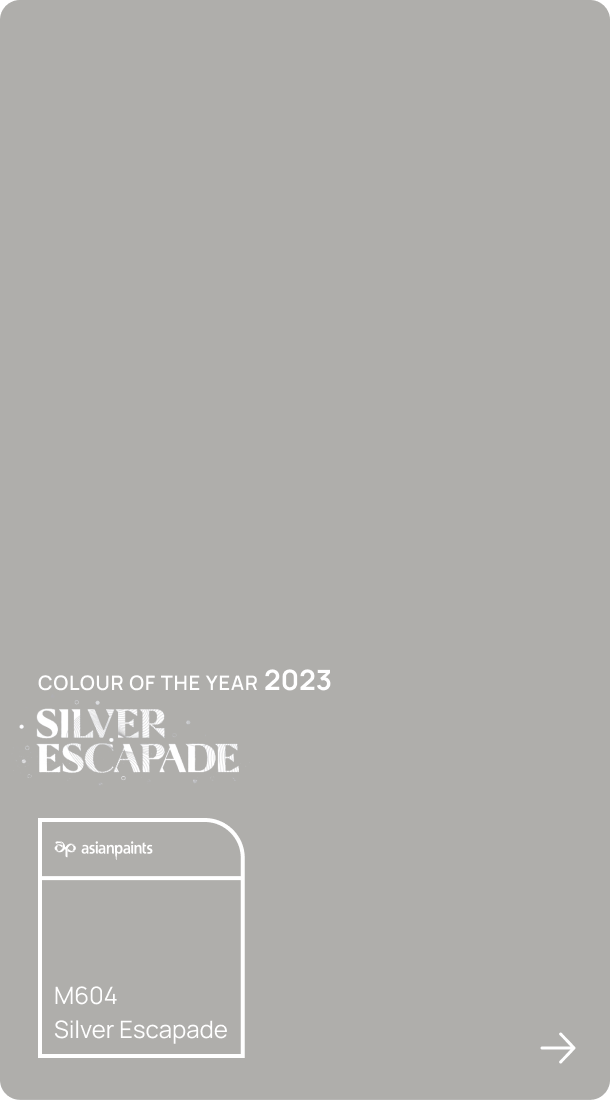 Silver Escapade - 2023