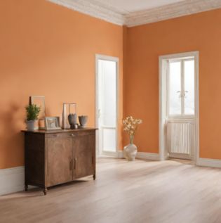 Dreamsicle Orange Colour - Asian Paints