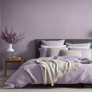 Lavender Colour - Asian Paints