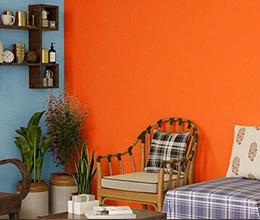 A living room with a cane chair in front of a bright orange wall. Emulsion paint contractors by Asian Paints.