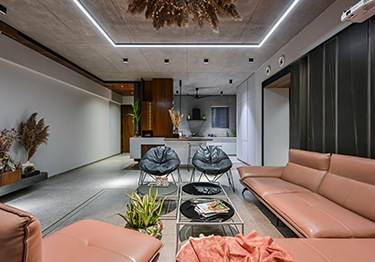 Trendy Dual-toned Living Room with Chic Leather Sofa