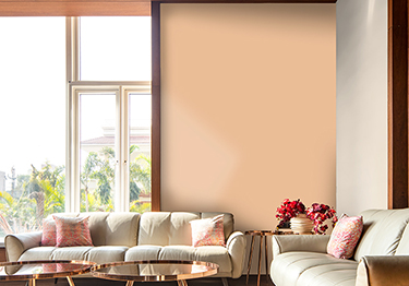 Contemporary Living Room Design with Stylish Hall Colour Combination
