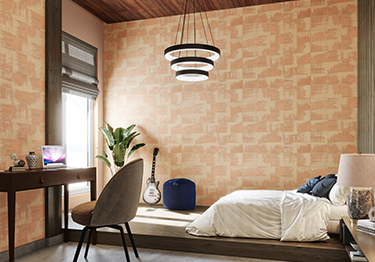 Contemporary Master Bedroom Idea