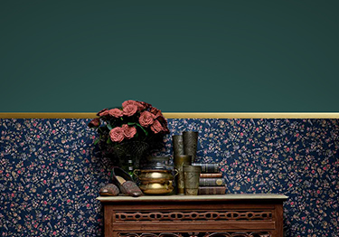Designer Living Room Colour Combinations