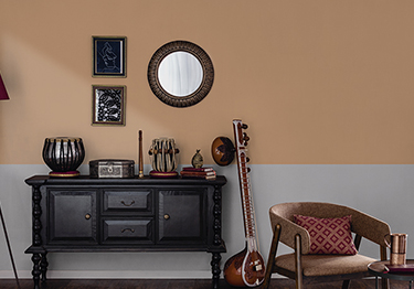 Earthen Wall Colour Combinations for Living Room