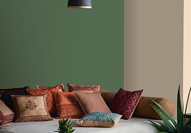 Modern Green & Budget-Friendly Living Room Idea
