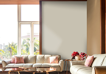 Muted Wall Paint Colors for Minimal Living Room Design