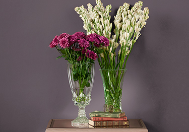 Regal Hall Colour Combinations