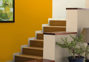 Sombre-Hall-Stair-Design-With-Color-Combinations-m