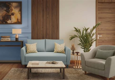 White and Blue Living Room