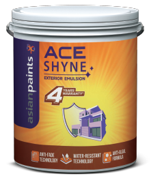 exterior-walls-ace-shyne-asian-paints