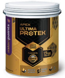 exterior-walls-ultima-protek-topcoat-new-asian-paints