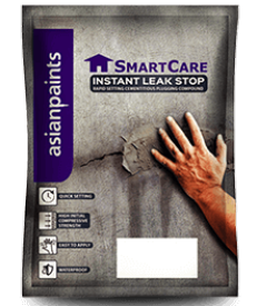 SmartCare Instant Leak Stop for Wet Cracks - Asian Paints