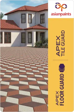 Apex-floor